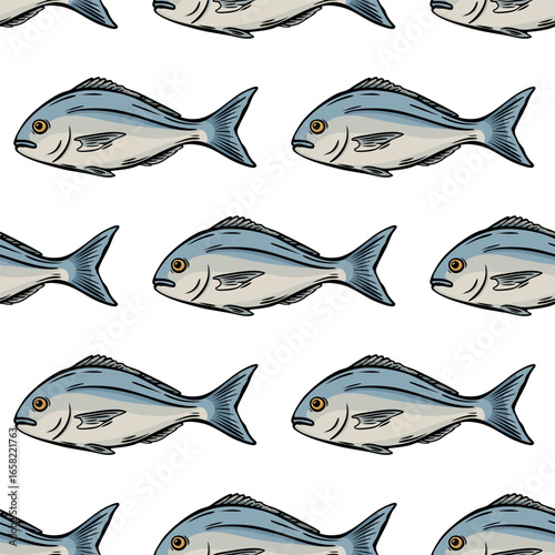 Seamless sketch pattern of Mediterranean fish illustration