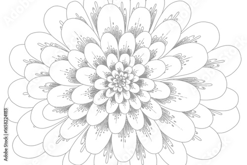 A detailed grayscale drawing of a flower with layered petals and intricate center design showcasing symmetry