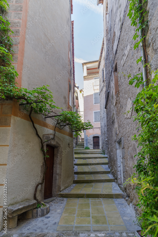 Fototapeta premium Narrow street in Entrevaux medieval village, Provence, France