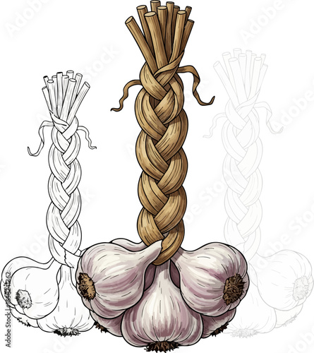 Conceptual Art Sketch Style A Braid of Garlic