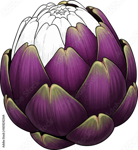 Conceptual Art Sketch Style A Single Purple Artichoke