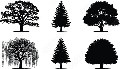 Tree silhouette collection, black and white illustration, deciduous and coniferous trees, botanical shapes, nature design, landscape elements, forest icons