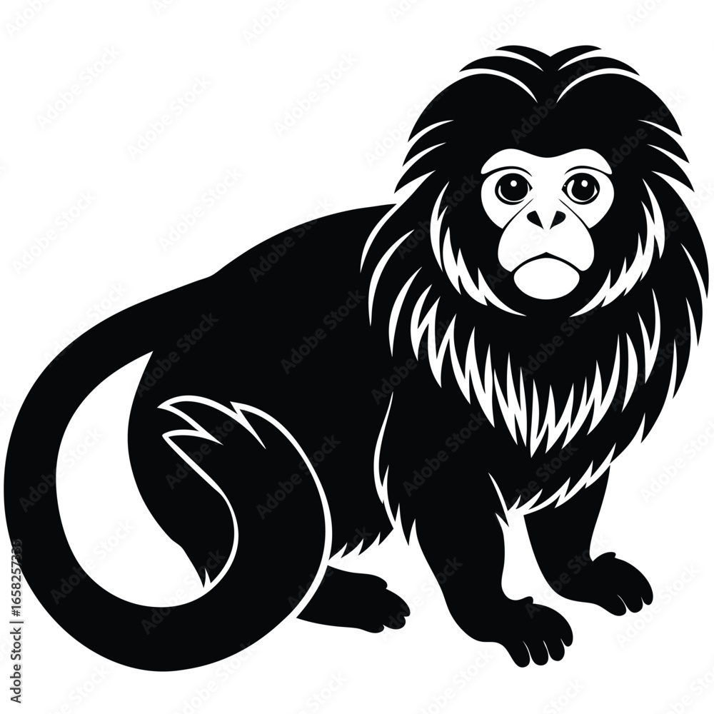 Obraz premium monkey vector animal