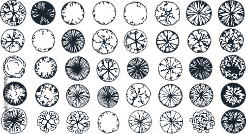 Collection of forty oval cut diamonds showcasing different clarity and color grades on a white background