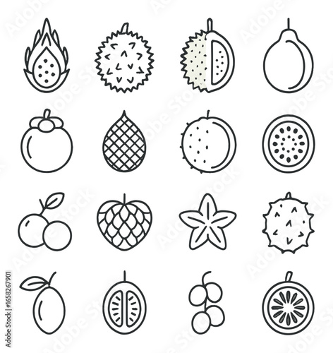 Linear exotic fruit icon set featuring dragon fruit, durian, mangosteen, lychee, passionfruit, and rambutan symbols