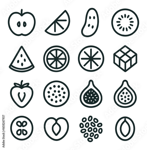 Linear fruit icon set featuring apple, orange, watermelon, kiwi, lemon, strawberry, fig, and melon symbols