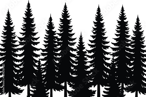 Majestic pine forest silhouette with towering evergreen conifers against a white background.