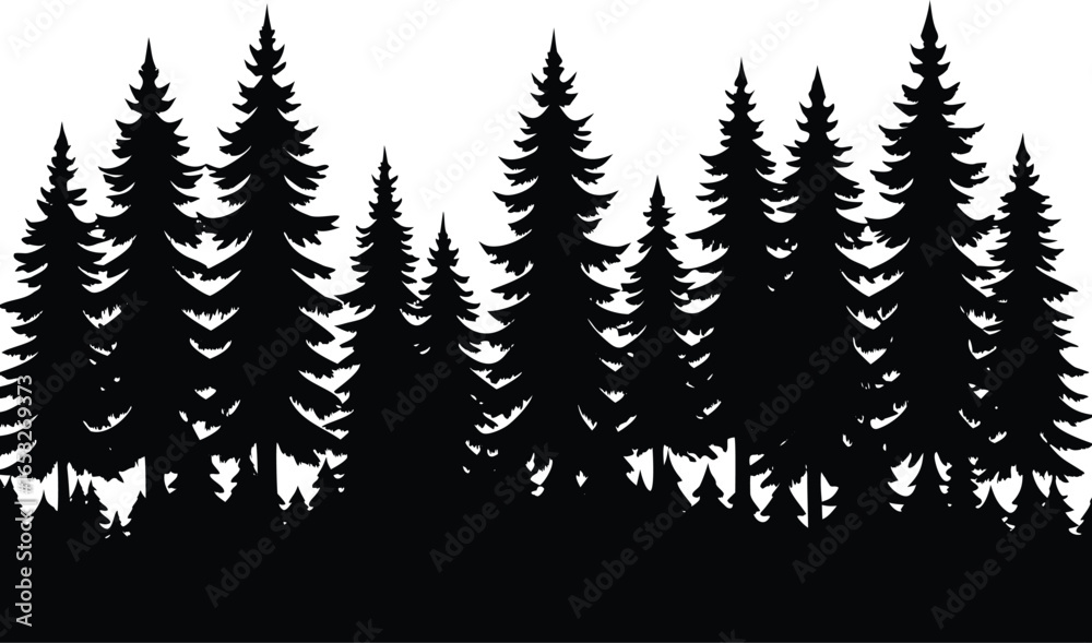 Obraz premium Silhouette of a dense pine forest with tall evergreen trees on a white background