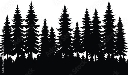 Silhouette of a dense pine forest with tall evergreen trees on a white background