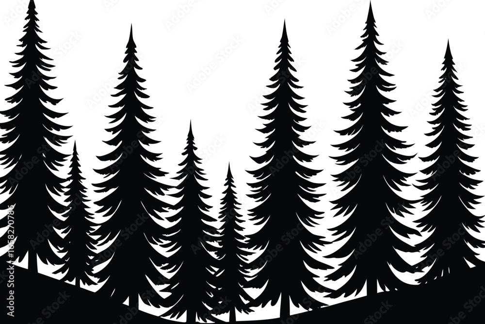 Obraz premium Silhouette of tall pine trees on a hillside forest against a white background.