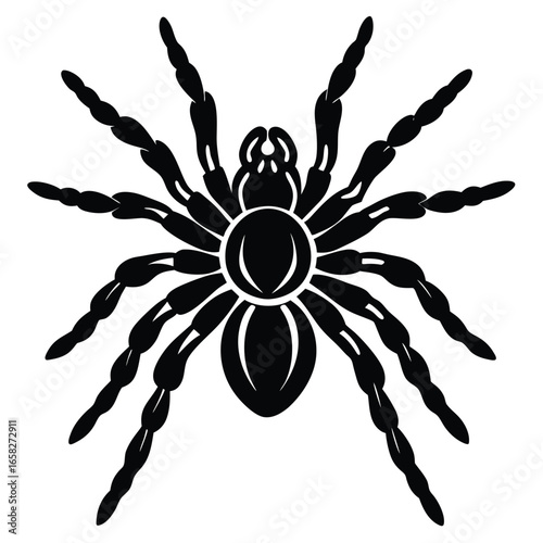 spaider vecror animal