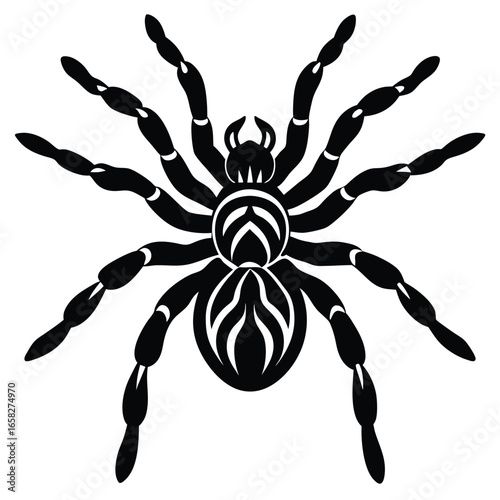 spaider vecror animal