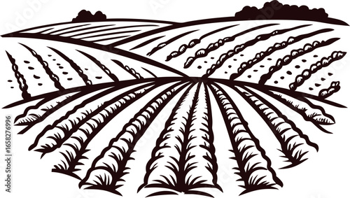 Hand drawn illustration of rural farmland with furrowed fields and distant trees in vintage engraved