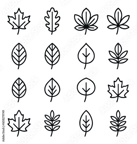 Linear nature icons set featuring maple, oak, elm, pine, fern, willow, palm, spruce, birch, and cedar leaves