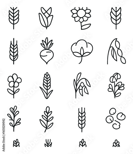Linear agriculture icon set featuring wheat, corn, sunflower, beet, leaf, pea, and seed symbols