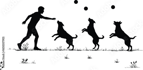 Dog play silhouette, person with dogs, jumping pets, ball toss, outdoor activity, grass scene, pet interaction, animal behavior vector