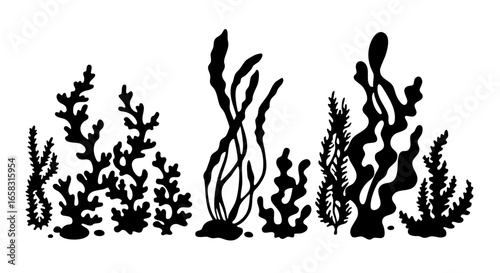 Silhouette of various seaweeds in black.