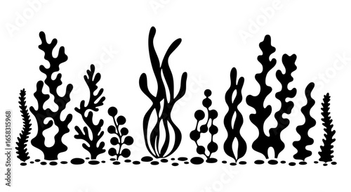 Abstract seaweed illustration, a stylized representation of marine plants. 