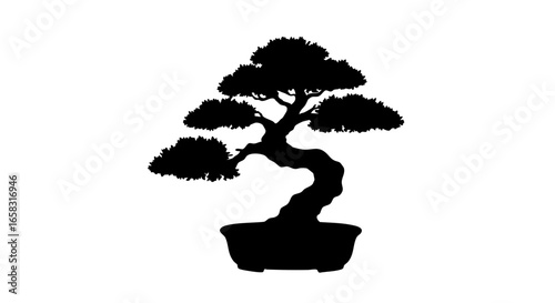 A silhouette of a bonsai tree against a plain backdrop.