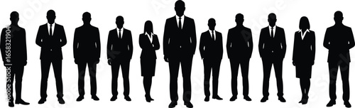 Large business team silhouettes, corporate professionals, formal attire, suits and skirts, office staff, leadership, diversity, teamwork, career, success