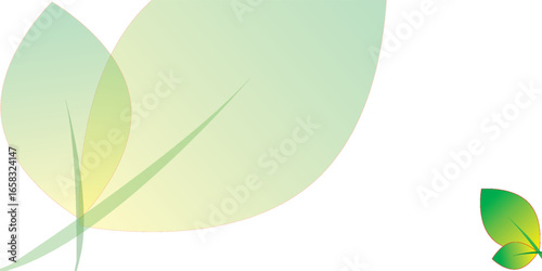 Stylized graphic of overlapping translucent leaves with a soft green and yellow gradient.