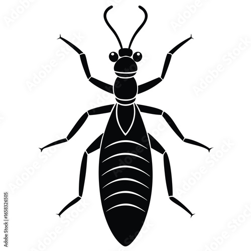 termite vector