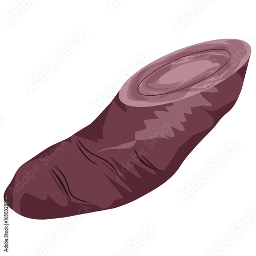 Illustration of purple sweet potato, a tuber plant, sliced purple sweet potato