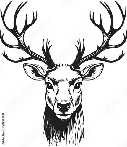 Black and white hand-drawn reindeer face vector, minimal doodle style, smooth bold ink line art, abstract winter animal silhouette, professional high-quality vector illustration 3