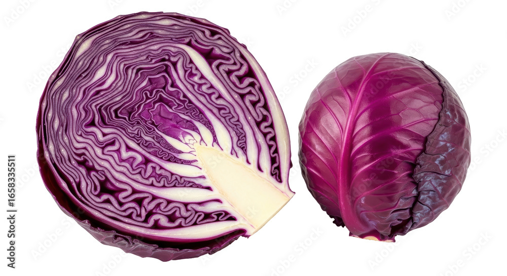 Fototapeta premium Isolated Purple Cabbage