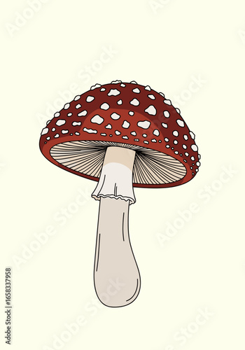 Amanita muscaria mushroom delicate drawing isolated on creamy background
