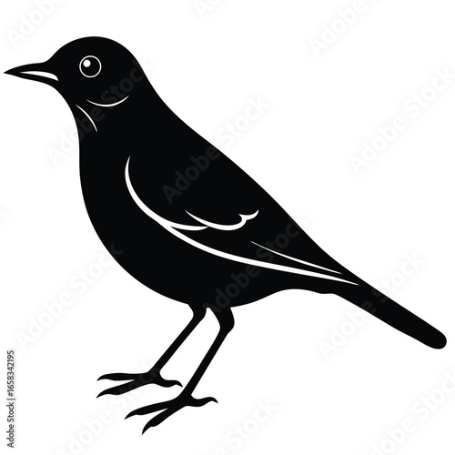 thrush vector
