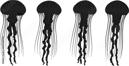 Silhouette of jellyfish marine animal, ocean underwater creature vector illustration, sea life design, aquatic wildlife concept, jellyfish tentacles collection isolated