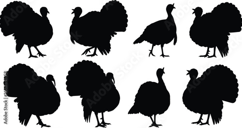 Turkey bird silhouette vector, farm animal illustration, wild turkey artwork, thanksgiving holiday design, poultry species graphic, black and white turkey pattern, decorative element