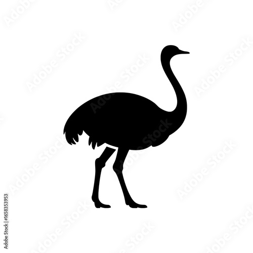 Vector silhouette illustration of a greater rhea bird. Monochrome black and white graphic of ratite bird, side view. Simple, minimalist design element for wildlife, zoology, or ornithology projects.