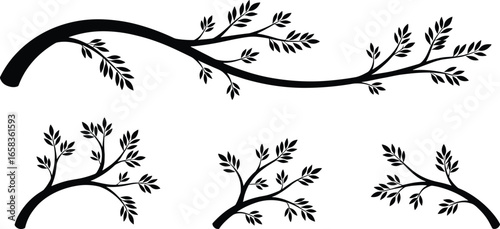 Elegant black tree branch silhouettes with detailed leaves, decorative nature design elements for floral, botanical, and organic-themed vector artwork and illustrations.