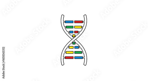 Illustration of a dna double helix structure with colored segments against a white background design image on transparent background
