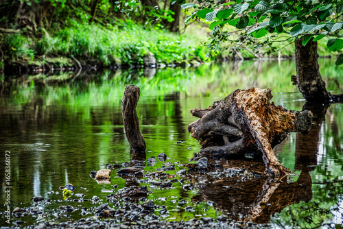 an der Bode in Quedlinburg