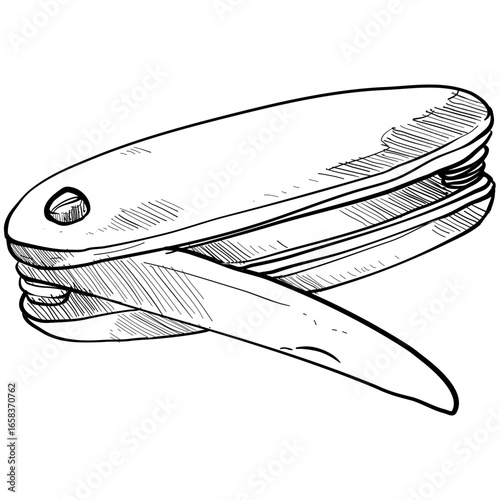 illustration of a fish