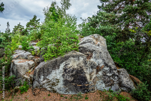 die Sandsteinhöhlen bei Blankenburg