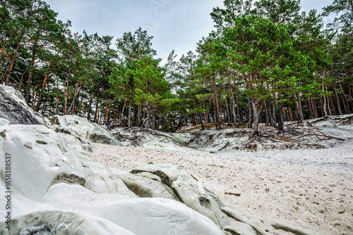 die Sandsteinhöhlen bei Blankenburg