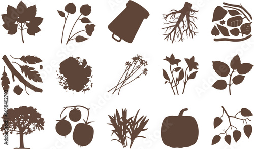 Botanical Illustration Set Diverse Plant Life Forms in Brown Silhouette on Transparent