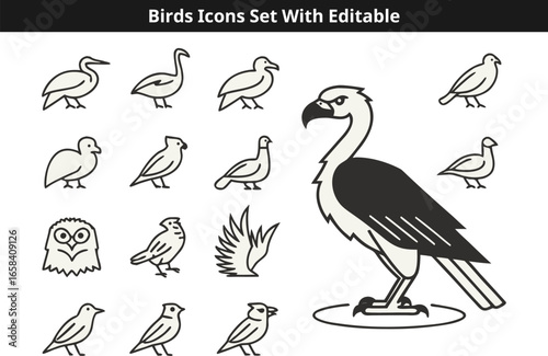 Birds line icons set vector design with editable