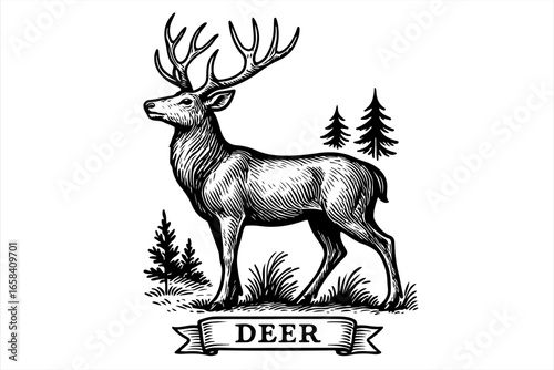 Illustration of a deer with antlers standing in a forest setting, with the word "DEER" on a ribbon below.