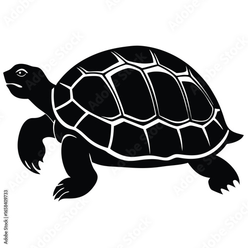 turule vector