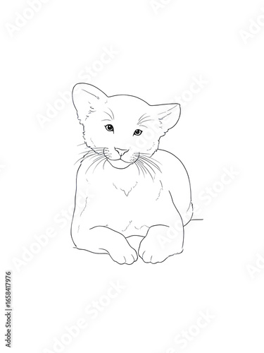 vector illustration of a cat