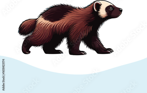 Wolverine Illustration:  Side Profile, Walking, Brown Fur,  Vector Art, Calm Mood.