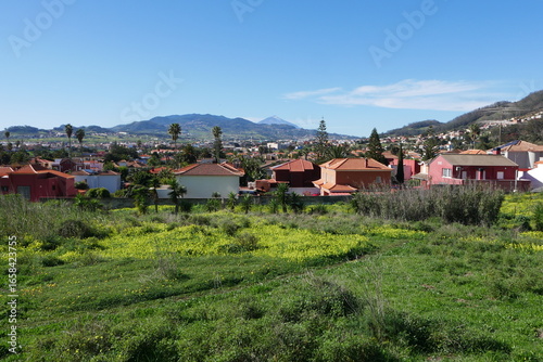 Wallpaper Mural Grüne Landschaft bei San Cristóbal de la Laguna auf Teneriffa Torontodigital.ca