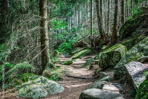 im Harz bei Wernigerode