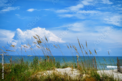 Slika na platnu Beach sand dunes and sky in summer - Topsail Island NC OBX