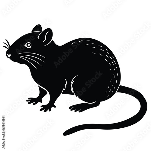 vole vectore animal